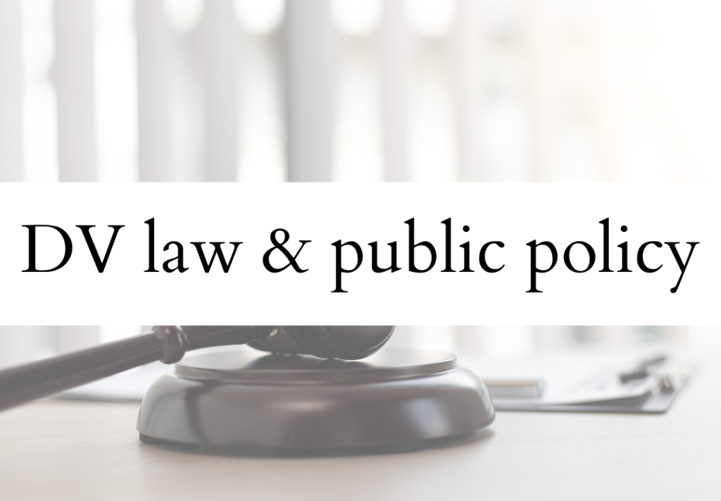 image of gavel with text, "DV law and public policy"